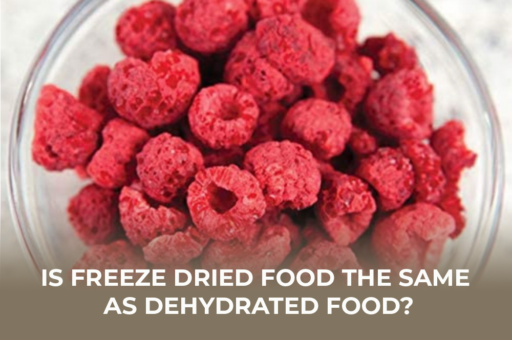 Freeze Drying VS. Dehydration, Commercial Dehydrators