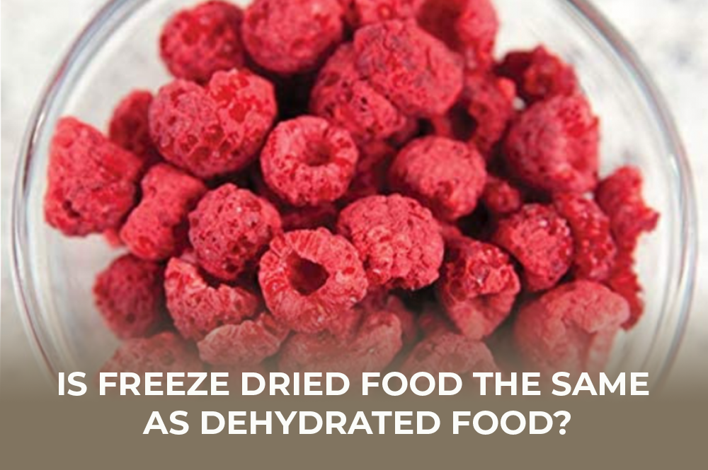 Is Freeze Dried Food the Same as Dehydrated Food? Nutristore Foods