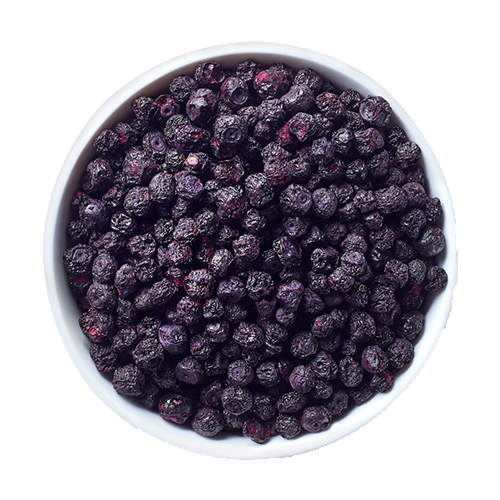 Blueberries Freeze Dried 6 Pack - CLEARANCE